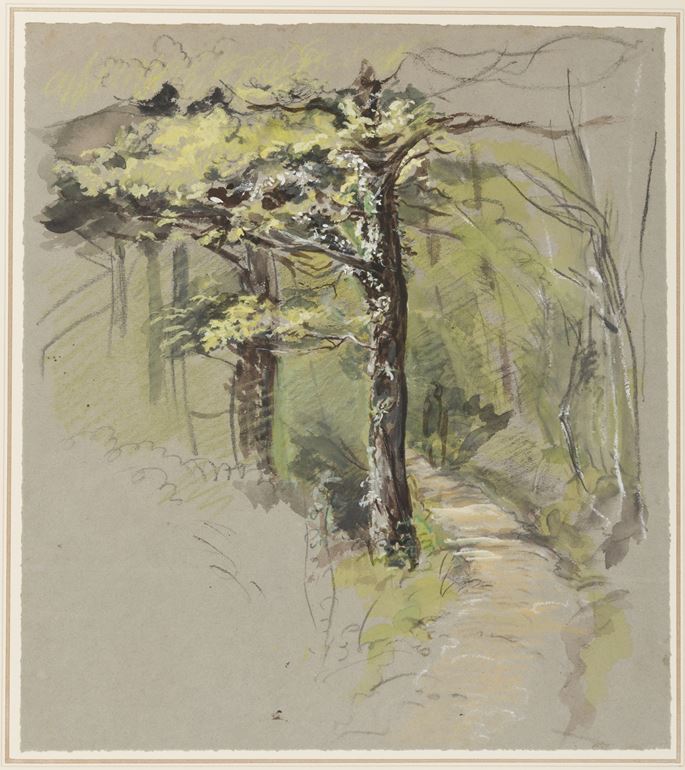 William Linnell - Study of Trees and a Path in a Forest | MasterArt